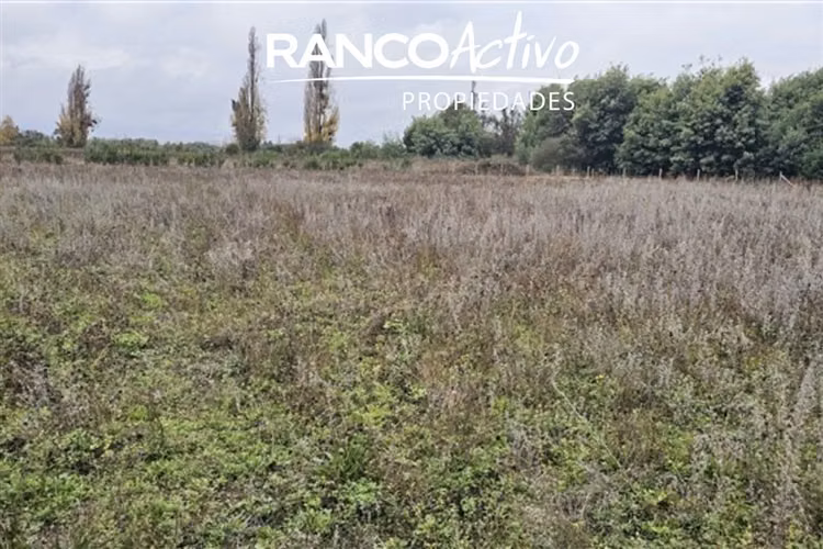 Parcela en Venta en Coihueco - Imagen 2