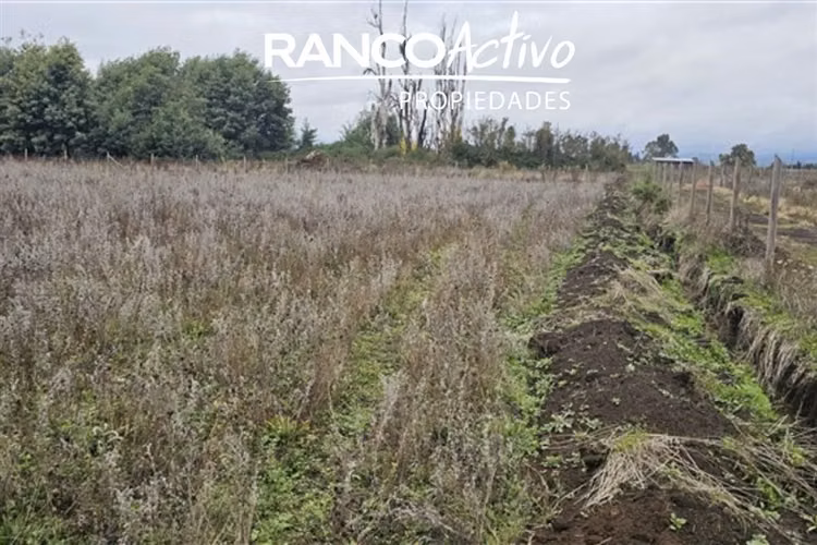 Parcela en Venta en Coihueco