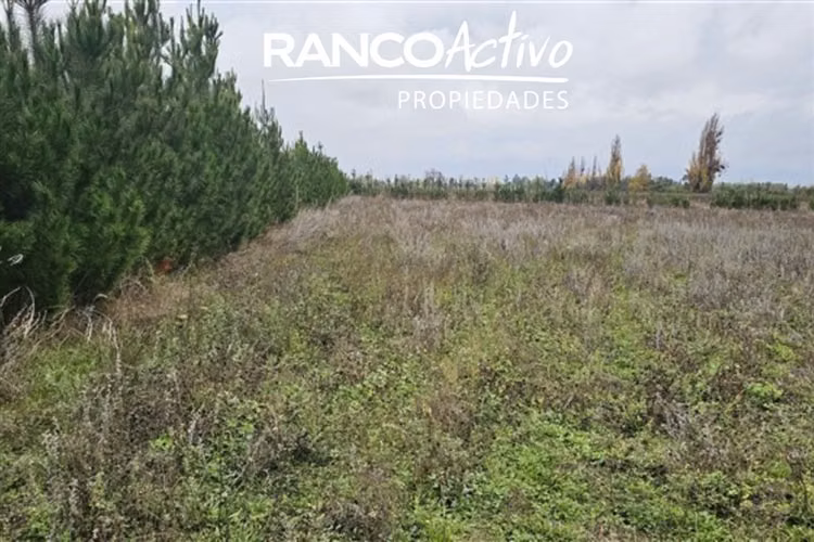 Parcela en Venta en Coihueco - Imagen 4