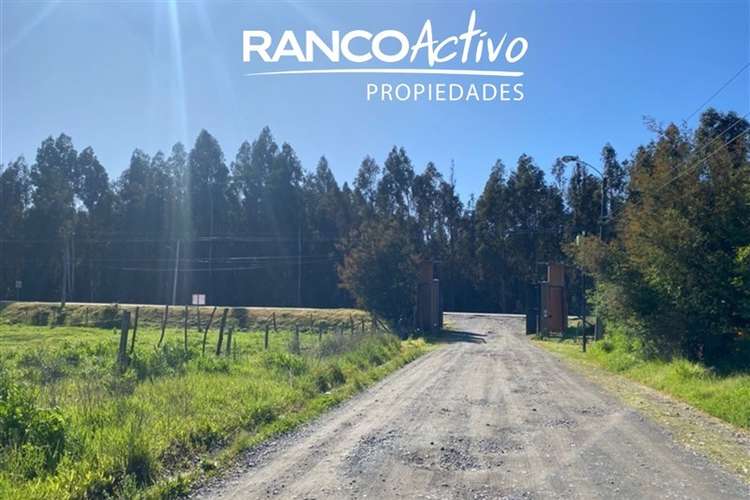 Parcela en venta en Chillán, Condominio Aromos de Don Luis - Imagen 5
