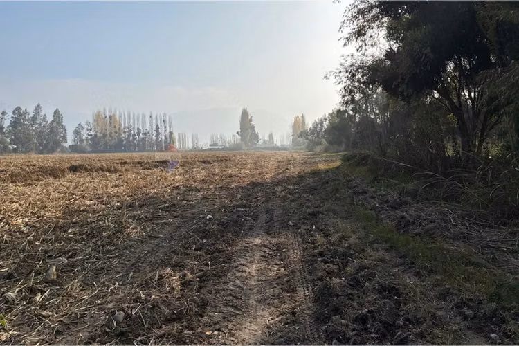 Venta terreno agrícola, san vicente tt