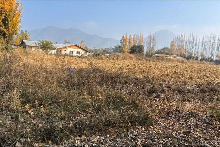 Venta terreno agrícola, san vicente tt