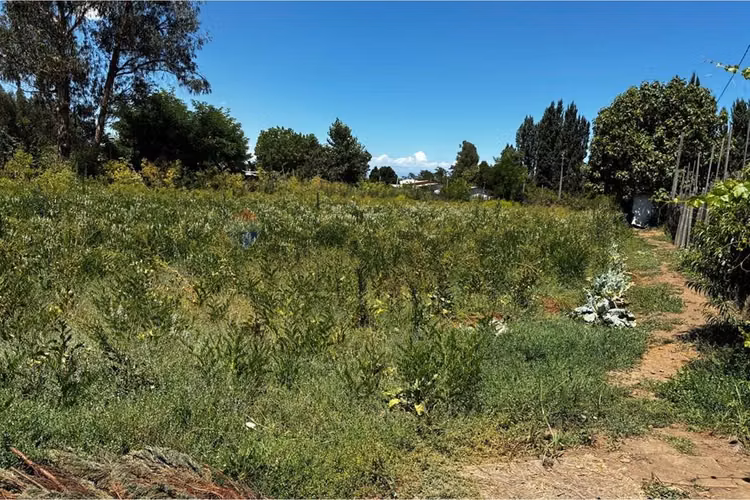 "terreno agrícola en rauco: inversión ideal"