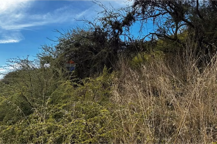 Parcela en venta, cerro cristal curicó.