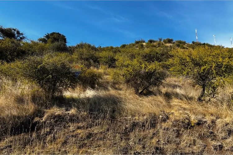 Parcela en venta, cerro cristal curicó.