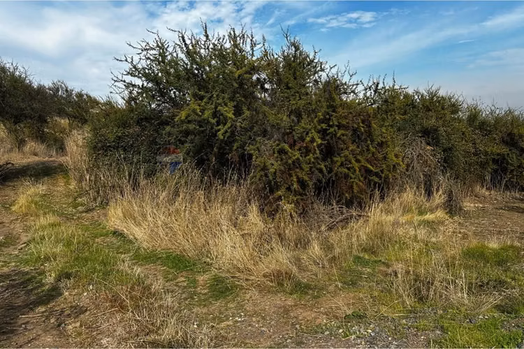Parcela en venta, cerro cristal curicó.
