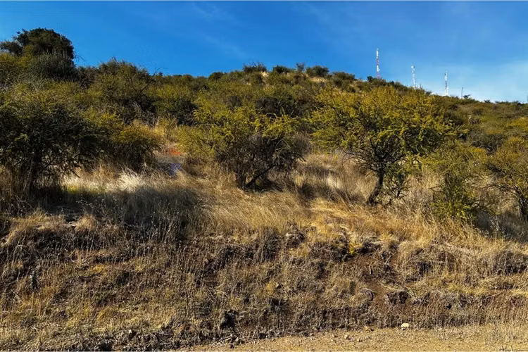 Parcela en venta, cerro cristal curicó.