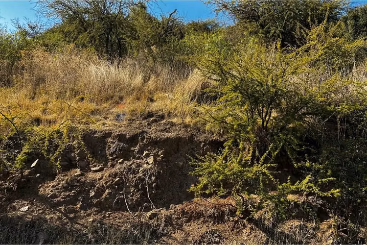 Parcela en venta, cerro cristal curicó.