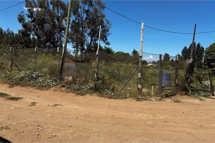 "terreno agrícola en rauco: inversión ideal"