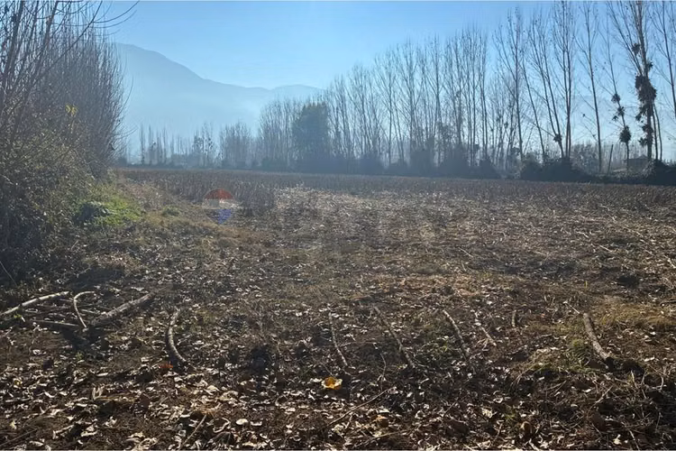 "venta terreno agrícola en coltauco"