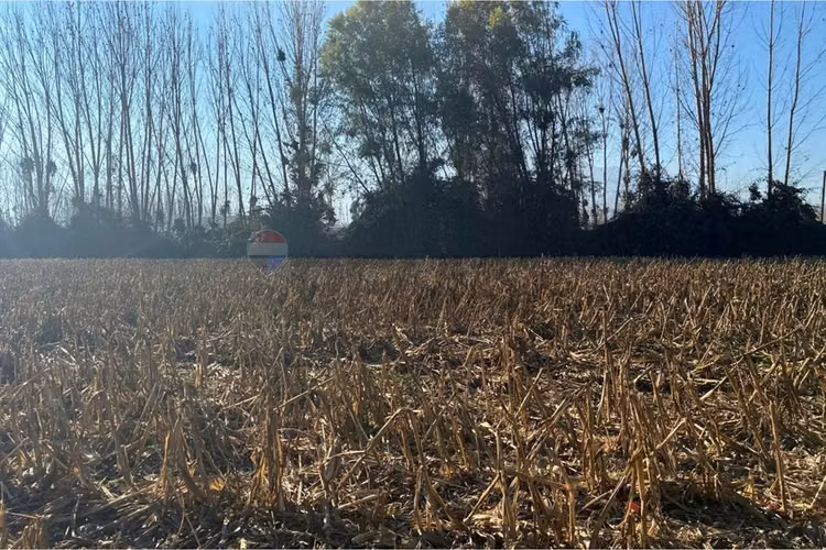 "venta terreno agrícola en coltauco"