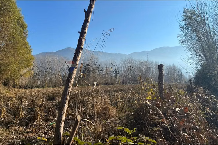 "venta terreno agrícola en coltauco"