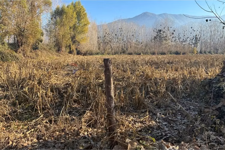 "venta terreno agrícola en coltauco"
