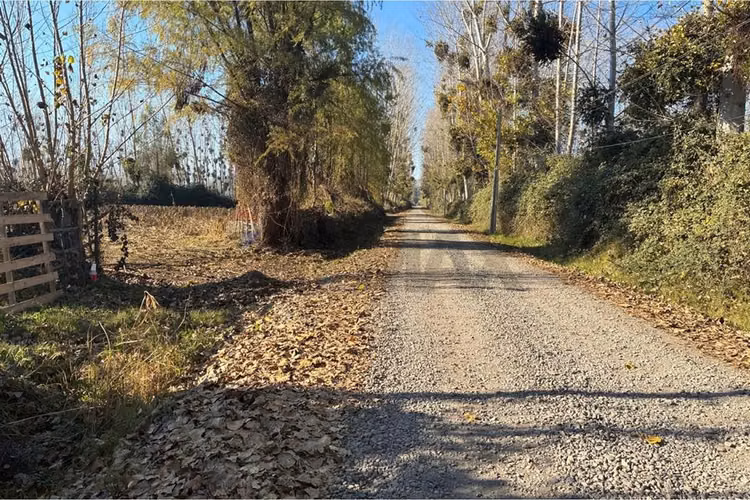 "venta terreno agrícola en coltauco"