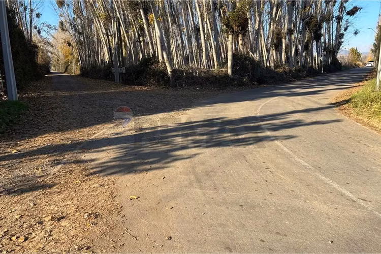 "venta terreno agrícola en coltauco"