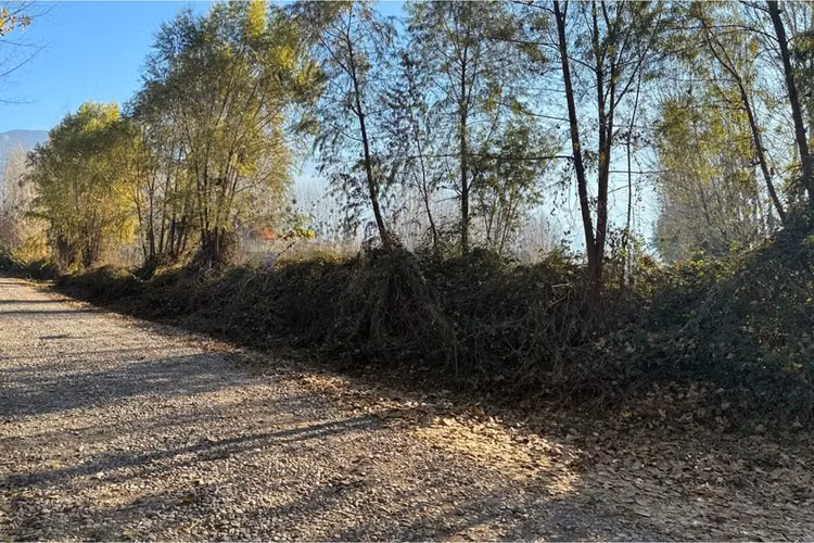 "venta terreno agrícola en coltauco"