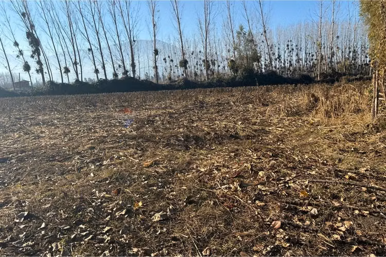 "venta terreno agrícola en coltauco"