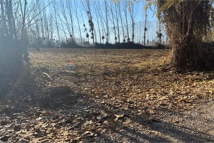 "venta terreno agrícola en coltauco"