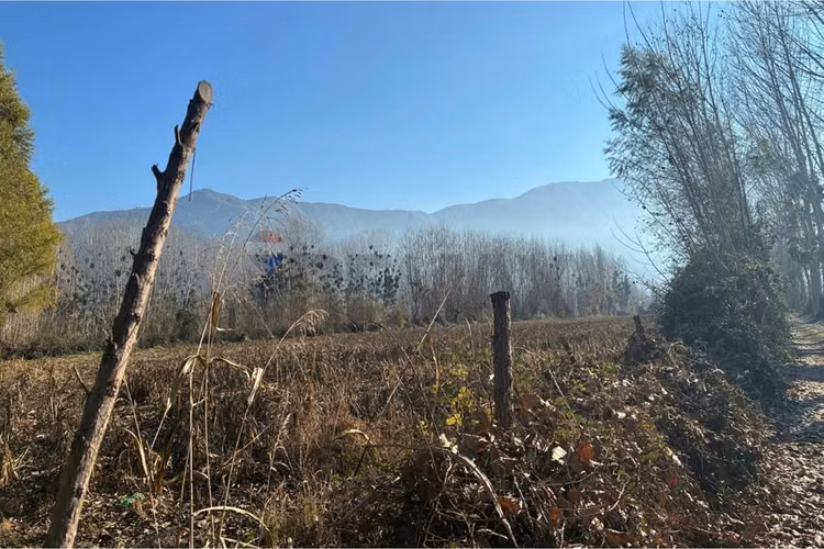 "venta terreno agrícola en coltauco"