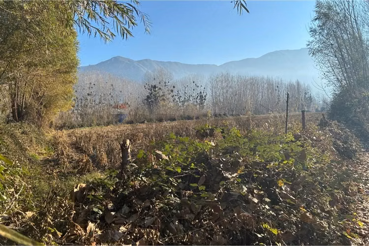 "venta terreno agrícola en coltauco"