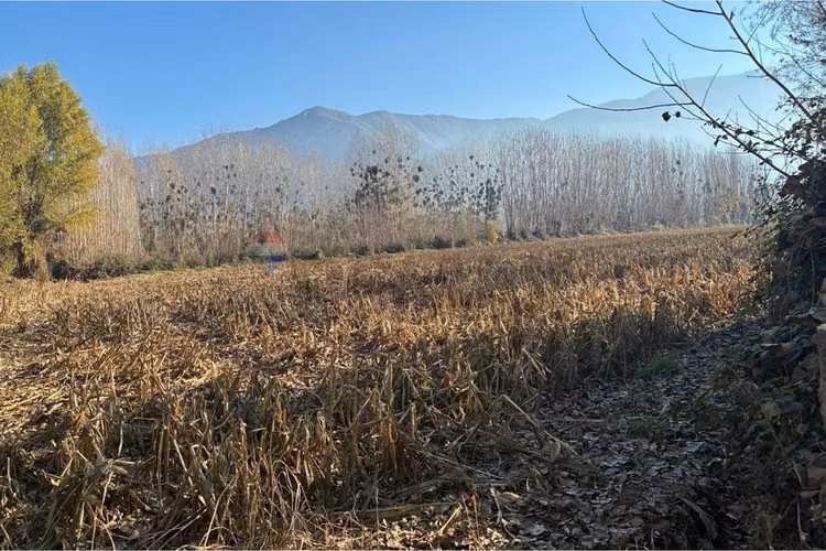 "venta terreno agrícola en coltauco"