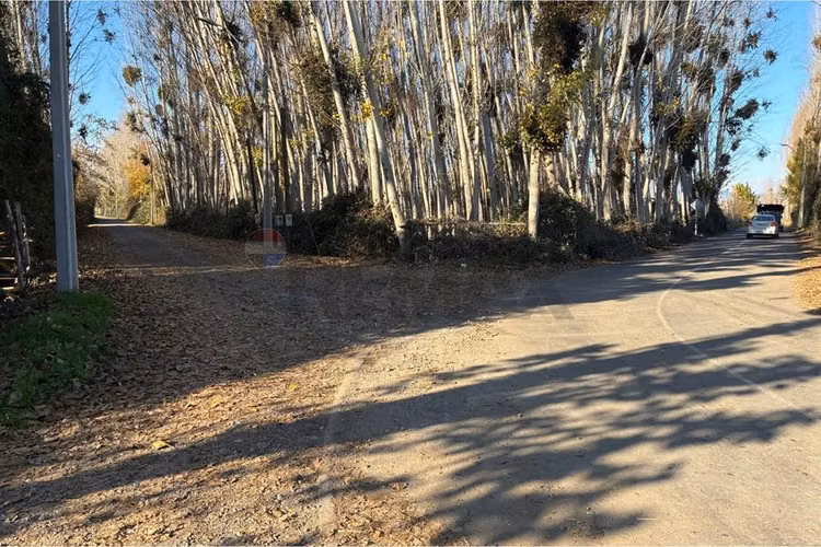 "venta terreno agrícola en coltauco"