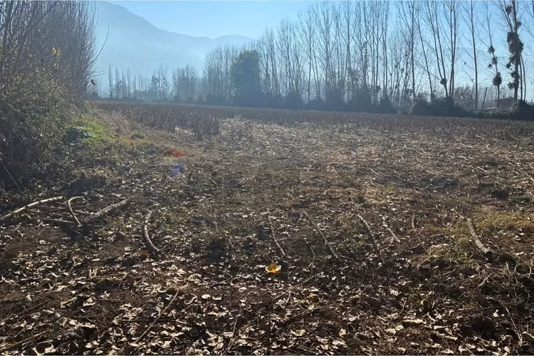 "venta terreno agrícola en coltauco"