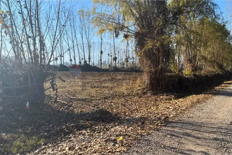 "venta terreno agrícola en coltauco"