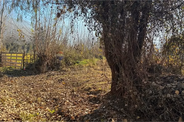 "venta terreno agrícola en coltauco"
