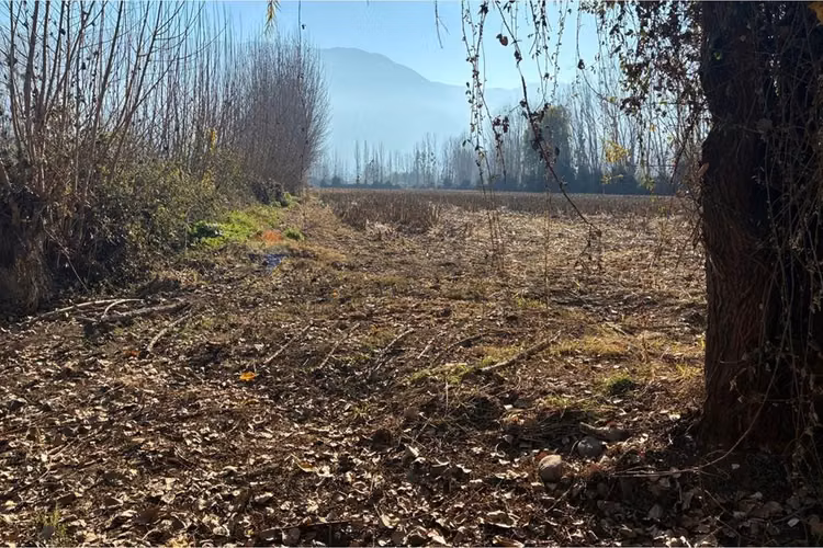 "venta terreno agrícola en coltauco"