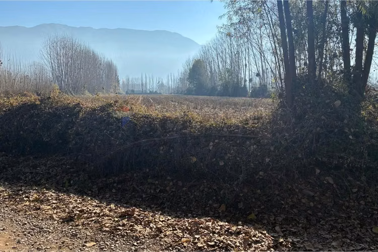 "venta terreno agrícola en coltauco"