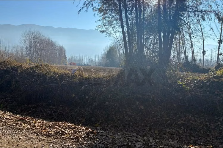 "venta terreno agrícola en coltauco"