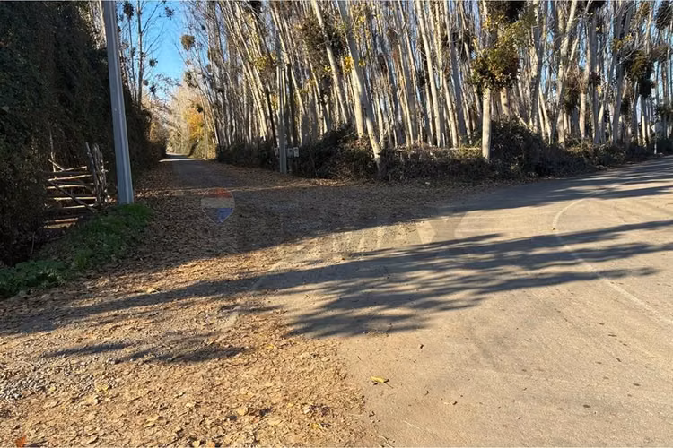 "venta terreno agrícola en coltauco"