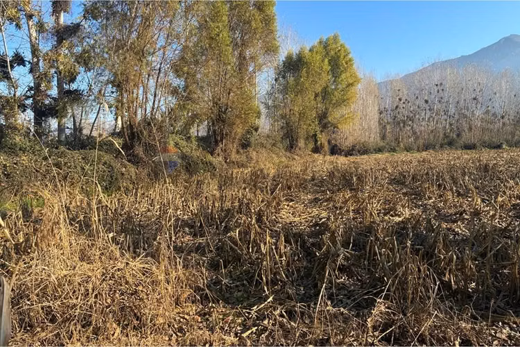 "venta terreno agrícola en coltauco"