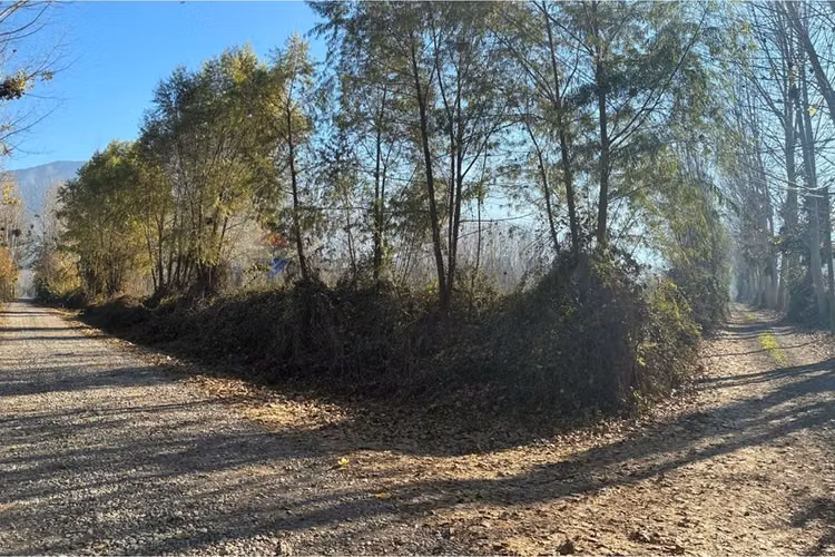 "venta terreno agrícola en coltauco"