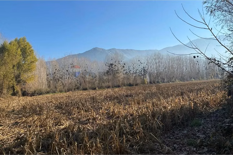 "venta terreno agrícola en coltauco"
