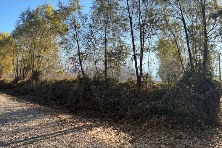 "venta terreno agrícola en coltauco"
