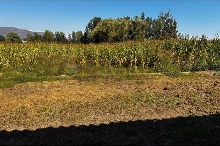 Parcela en venta coltauco