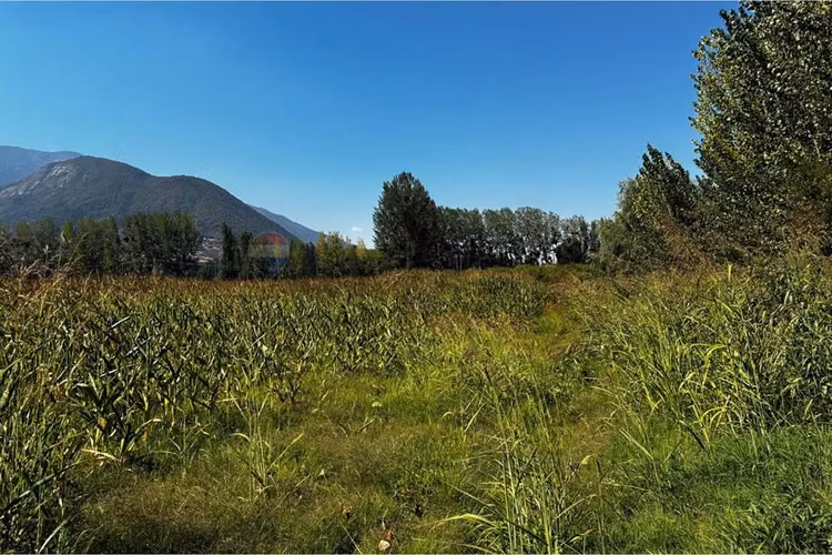 Parcela en venta coltauco