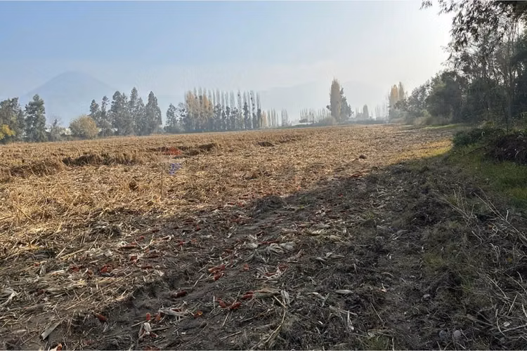 "venta terreno agrícola, san vicente tt"