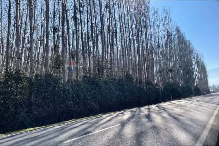 “ venta de terreno agrícola"