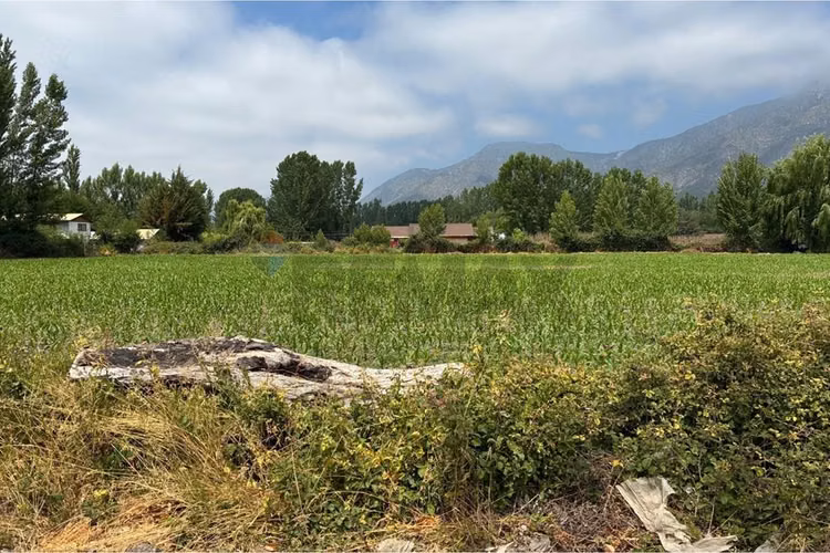 Venta terreno agrícola