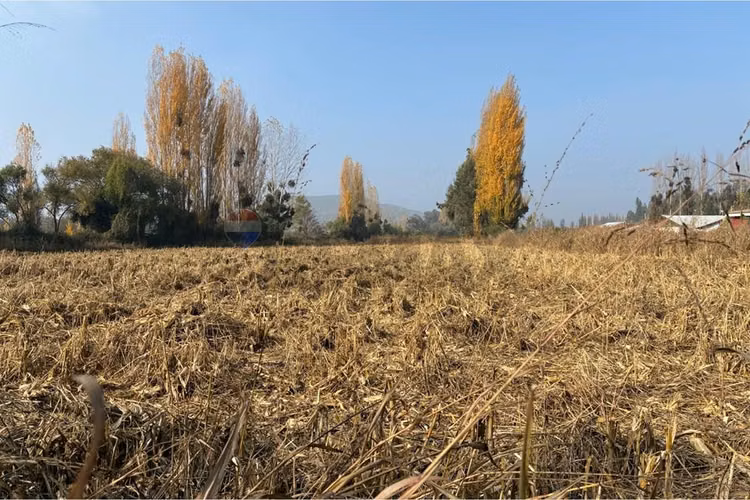Venta terreno agrícola, san vicente tt