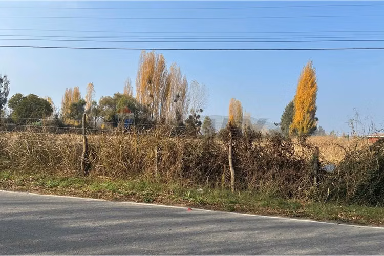 Venta terreno agrícola, san vicente tt