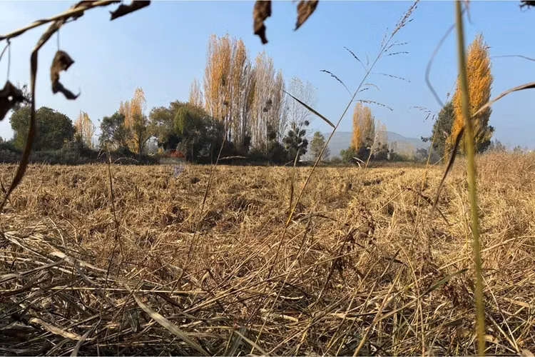 Venta terreno agrícola, san vicente tt