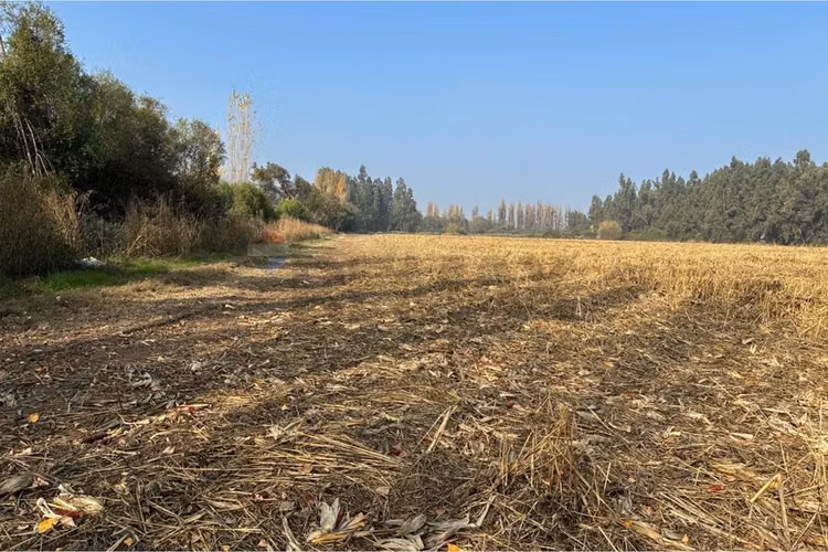 Venta terreno agrícola, san vicente tt