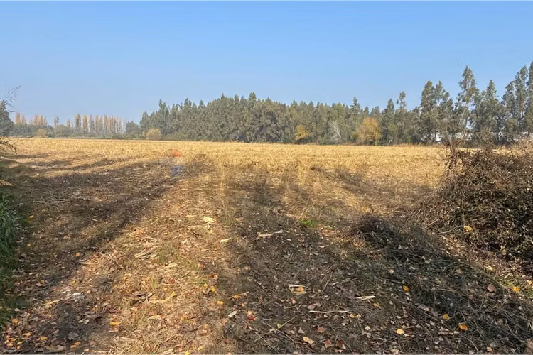 Venta terreno agrícola, san vicente tt
