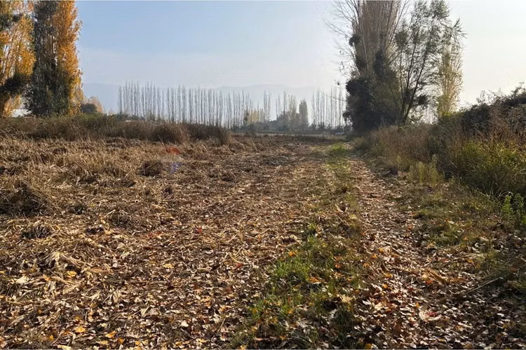 Venta terreno agrícola, san vicente tt