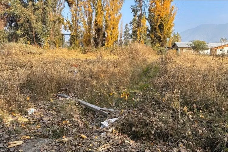 Venta terreno agrícola, san vicente tt