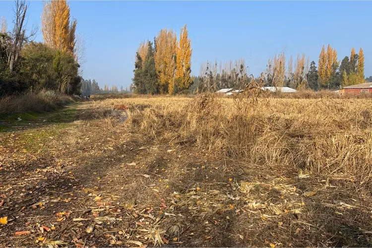 Venta terreno agrícola, san vicente tt